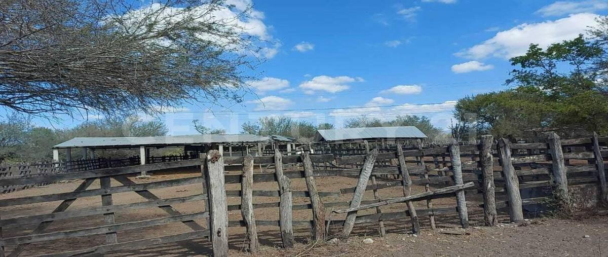Foto de terreno habitacional en venta en  , gonzález [ejido], gonzález, tamaulipas, 0 No. 04